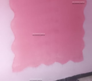 Escort Dream in Portugal , Lisbon - Europe