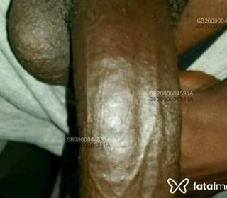 escort Xxlhungbistallion