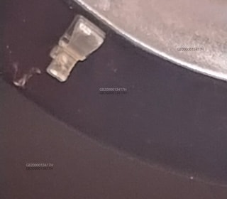 Escort Fee in Belgium , Brugge - Europe