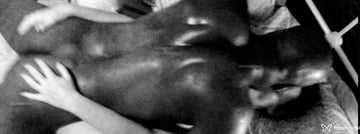 RoyalJayx Acompanhante RoyalJayx - Cabeçalho
